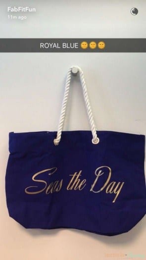 Fabfitfun subscription box summer 2016 spoiler trina turk tote 2