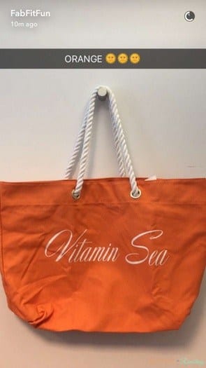 Fabfitfun subscription box summer 2016 spoiler trina turk tote 3