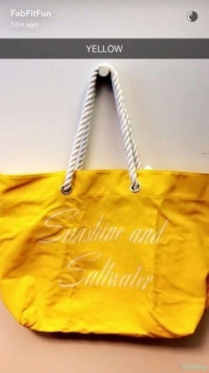 Fabfitfun subscription box summer 2016 spoiler trina turk tote