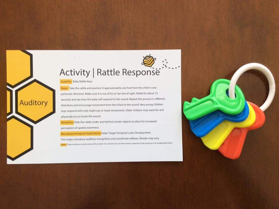 Bumble Brain Baby Subscription Box May 2016 review auditory activity rattle response keys