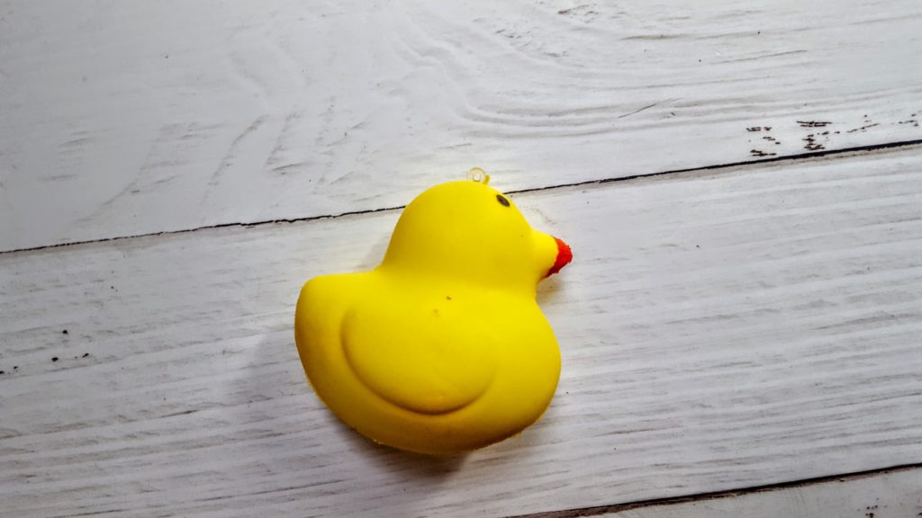 duck squishie