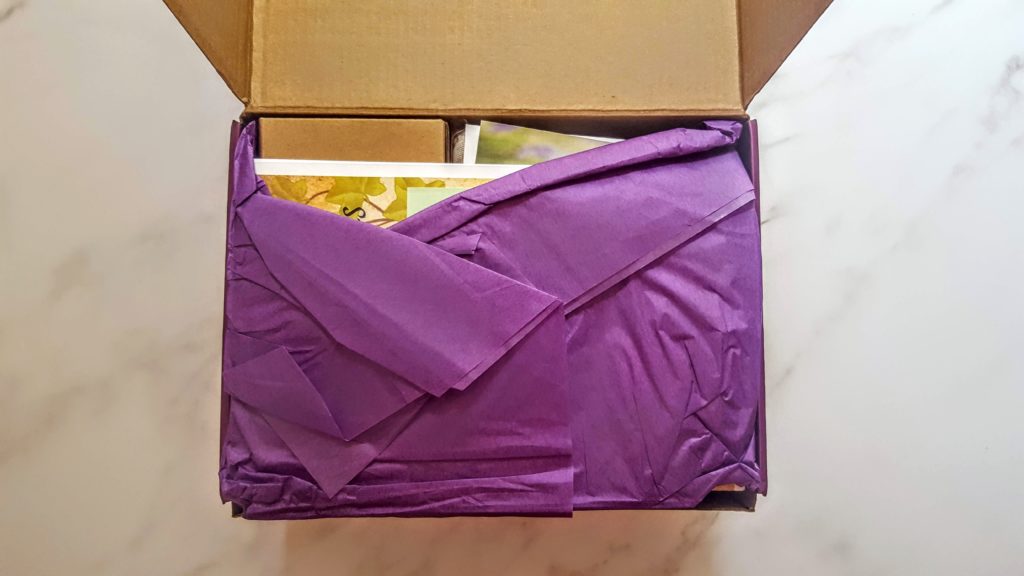 first look in the little touchof magick box
