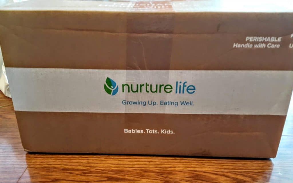 nurture life review