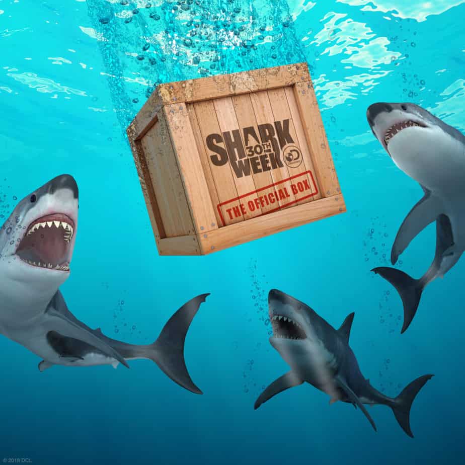 shark week box