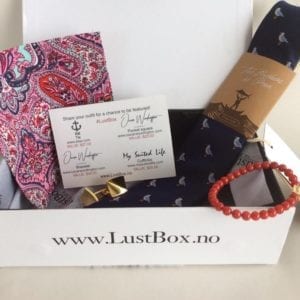LustBox Subscription Box – February 2017 Review