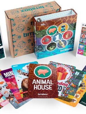 BitsBox no experience coding for kids