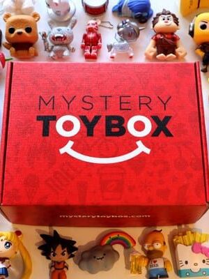 Mystery Toy Box