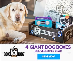 BoxDog… 75% off Coupon!