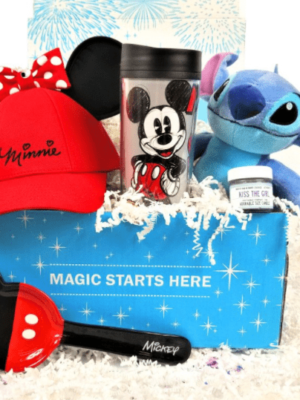 Mickey Monthly Disney inspired Subscription box