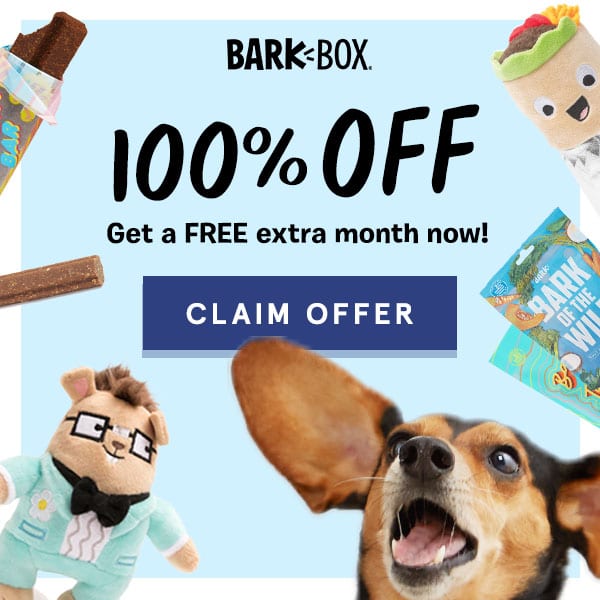 BarkBox dog subscription box