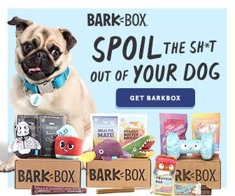 Best Subscription Boxes for Christmas Gifts - BarkBox for man's best friend