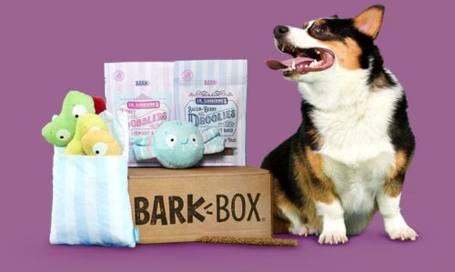 Barkbox Ribbs BarkBox - Subscription Box Lifestyle
