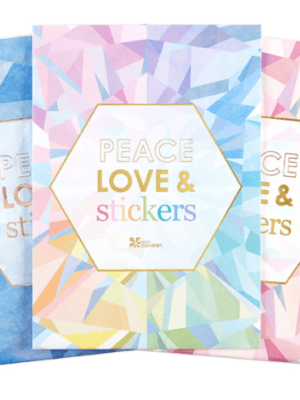 Erin Condren Sticker Club