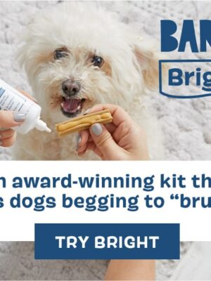 Bark Bright Dental
