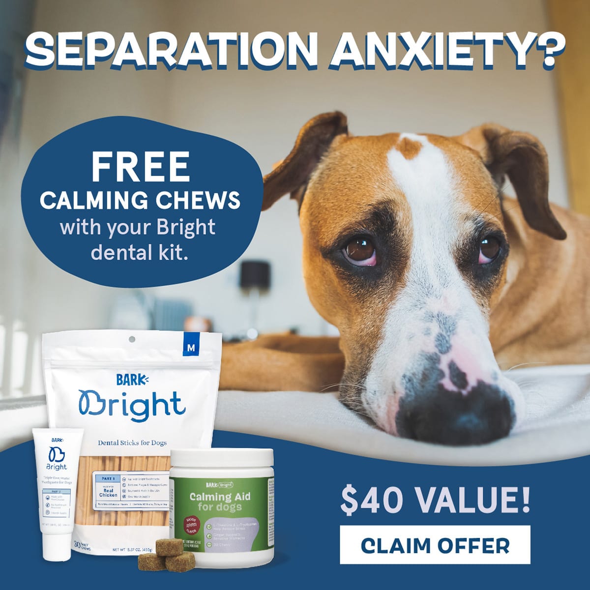 Bark Bright Coupon Code: FREE Calming Supplement