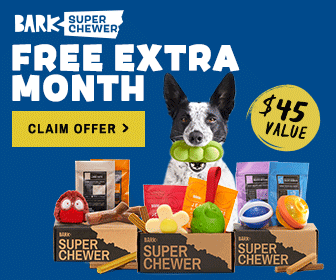 Bark Super Chewer dog subscription box