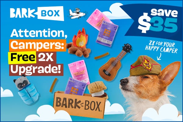 BarkBox Squeakaway Camp Box: FREE Upgrade