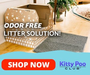 Kitty Poo Club odor free litter