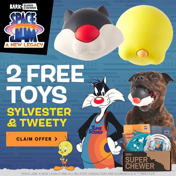Bark Super Chewer Space Jam themed box: 2 FREE Sylvester & Tweety Toys -  