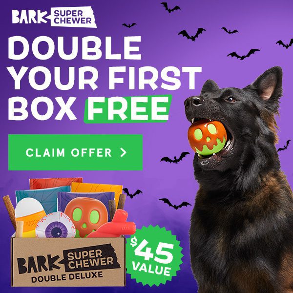 Bark Super Chewer Lick or Treat Box: Double Your First Box FREE