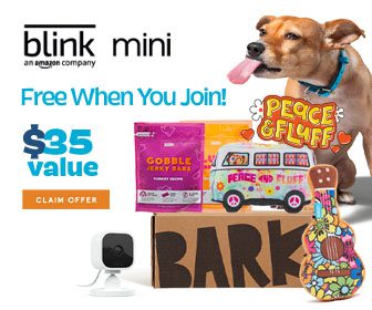 BarkBox and Bark Super Chewer: FREE Amazon Blink Mini Camera