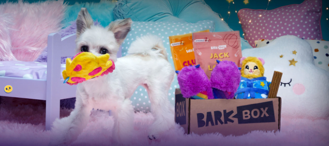 BarkBox January 2022 Theme: Slobber Party