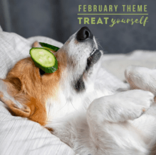 Smartass & Sass February 2022 Box Theme is Treat Yourself!