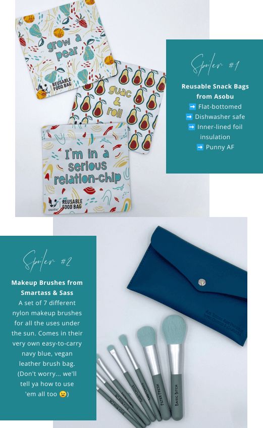 Smartass & Sass January 2022 Box first two spoilers