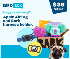 BarkBox February 2022 Theme: Sweetie Pies Barkery Spoilers + FREE Apple AirTag