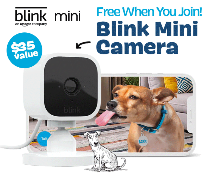 Bark Super Chewer FREE Amazon Blink Mini Camera