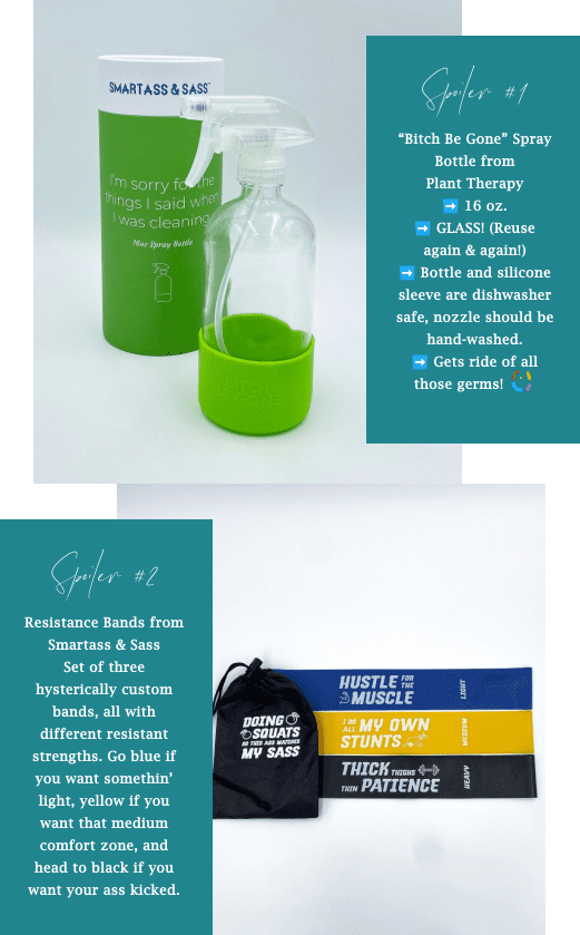 Smartass & Sass March 2022 Box FULL Spoilers + Coupons