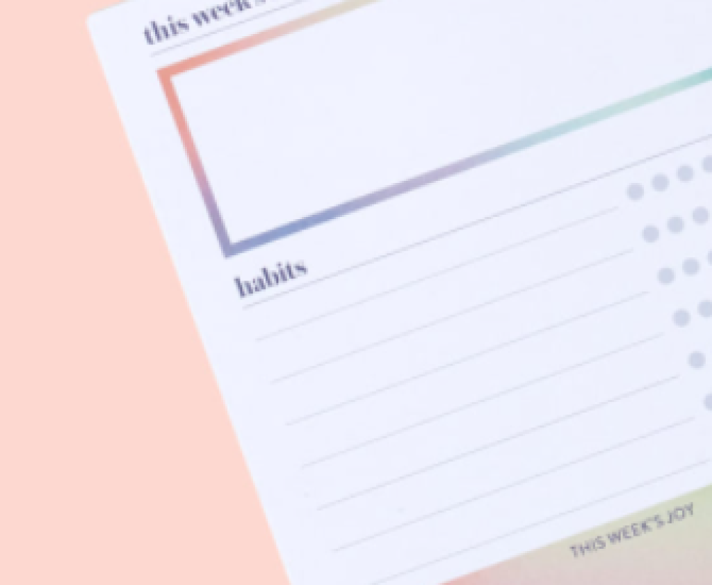 Erin Condren Summer 2022 Seasonal Surprise Box first Spoiler