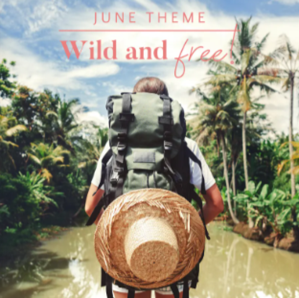 Smartass & Sass June 2022 Box FULL Spoilers + Save 10% OFF