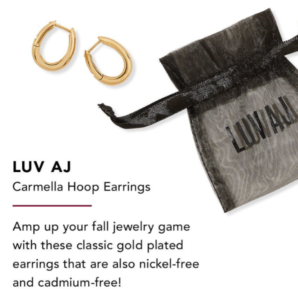 FabFitFun Fall 2022 Spoilers LUV AJ Carmella Hoop Earrings