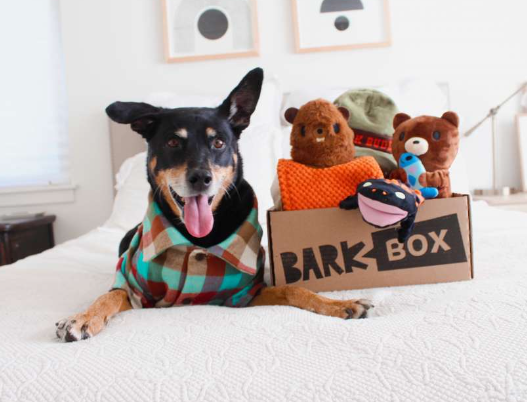 BarkBox & Super Chewer July 2022 Bonus Box Spoilers: National Park Foundation