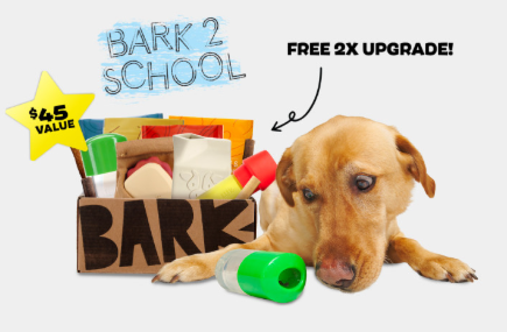 Bark Super Chewer September 2022 Spoilers Bark 2 School Box