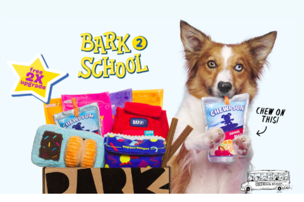 BarkBox & Super Chewer September 2022 Spoilers: Bark 2 School
