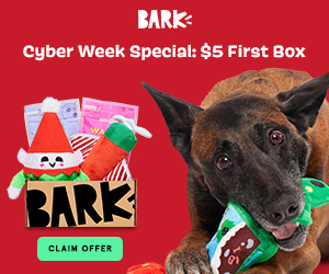 BarkBox & Bark Super Chewer- $5 First Box